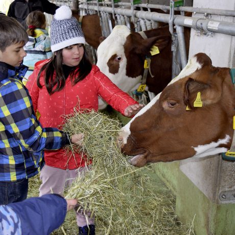 Jeunes élèves en visite à la ferme