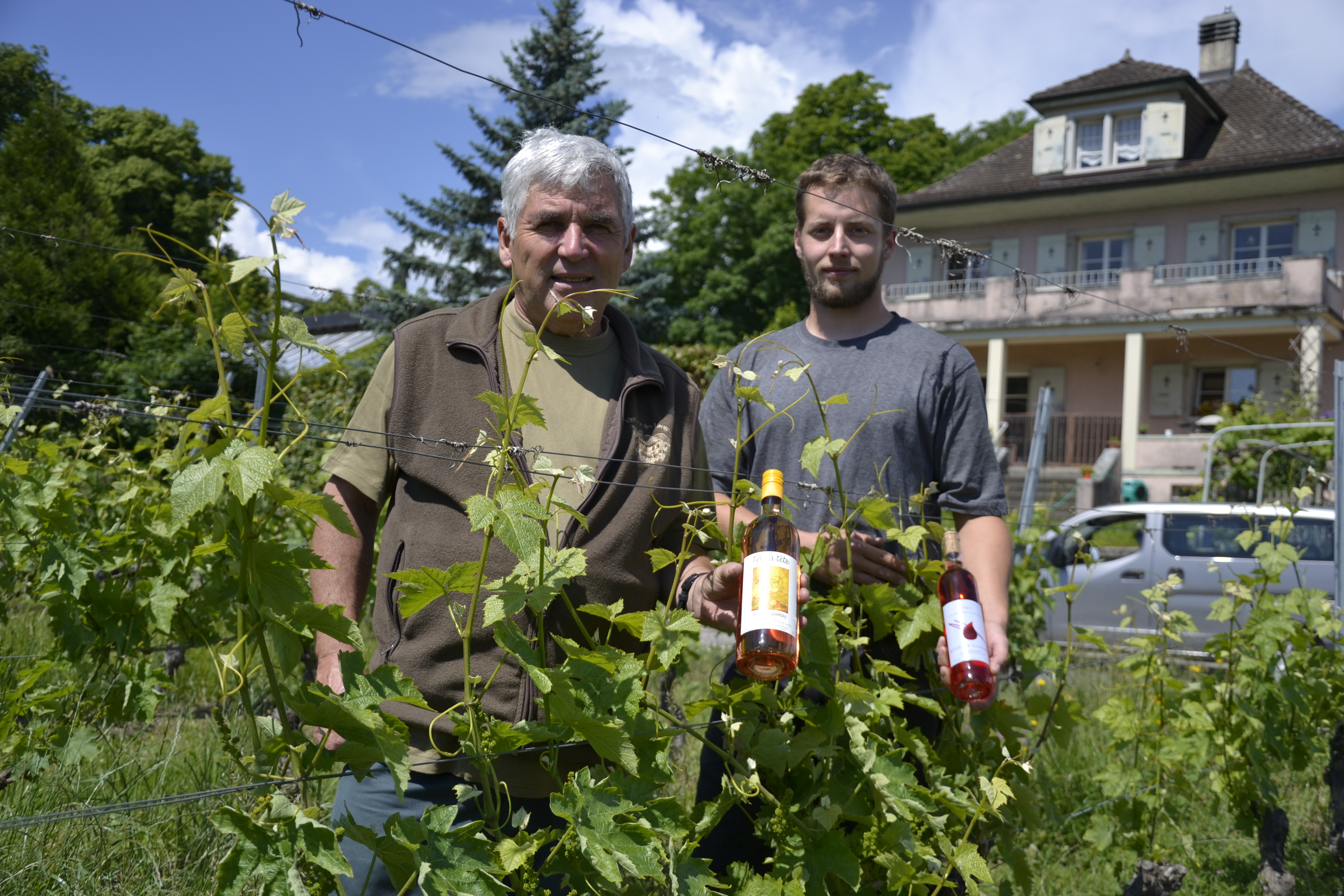  »Le rosé est le vin qui dépend le plus du ciel »