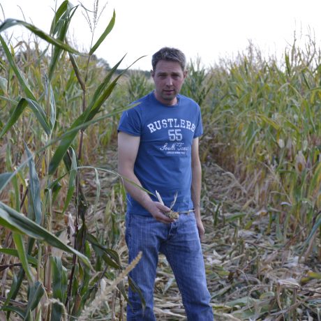 Le sanglier ciblé par les agriculteurs