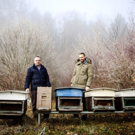 Utiliser le numérique  en faveur des abeilles