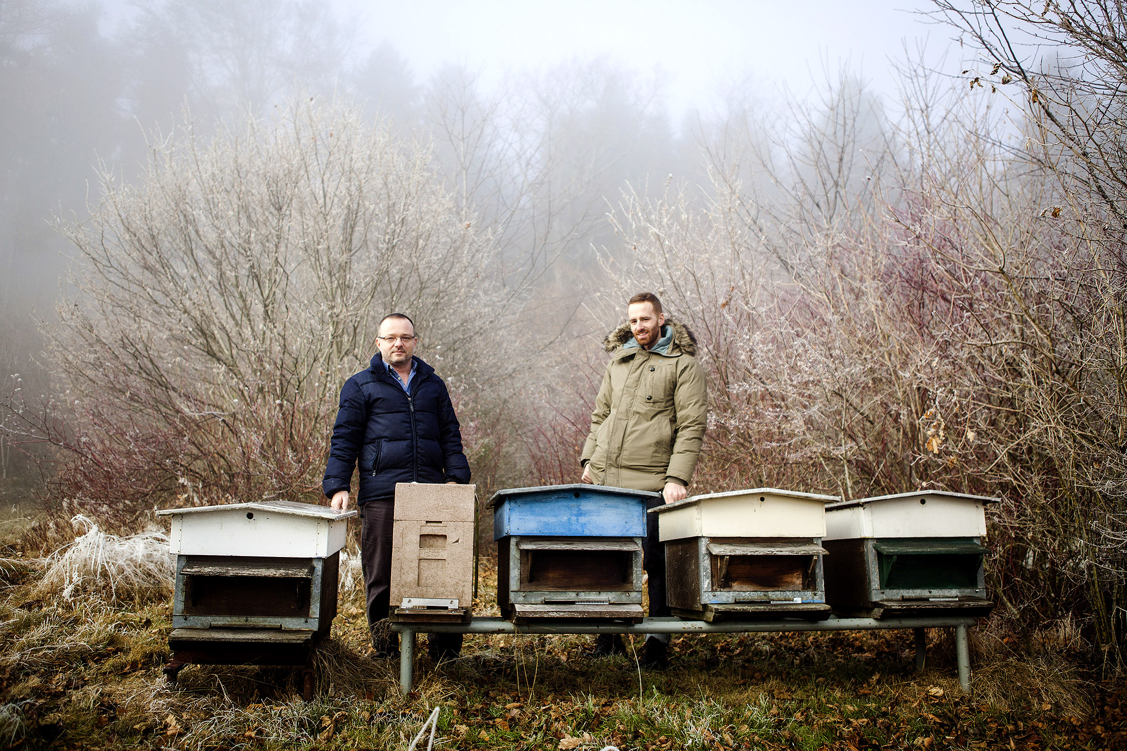 Utiliser le numérique  en faveur des abeilles