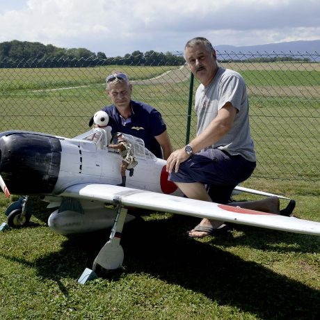 Des Frelons piqués de  modélisme aéronautique