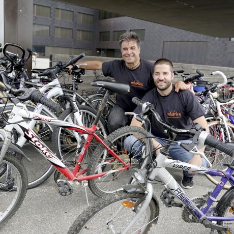 Des vélos récoltés par dizaines