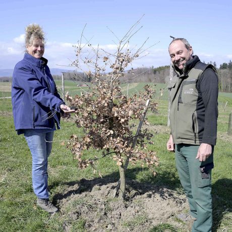 À Vullierens, on s’essaie à la culture de la truffe