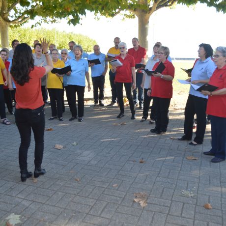 La croisière s’amuse et chante à huis clos
