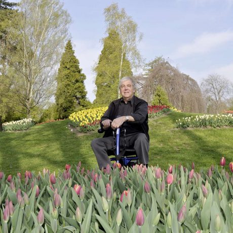 Des tulipes pour éradiquer la polio