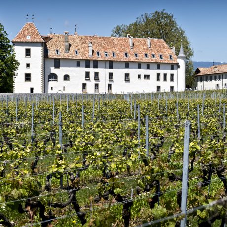 Des poèmes au goût amer contre la vie de château