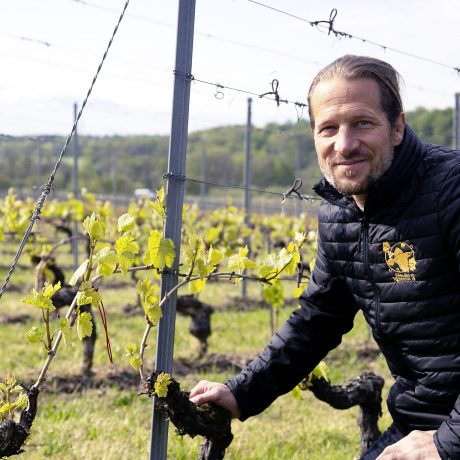 L’esprit de la vigne, du vin et du divin
