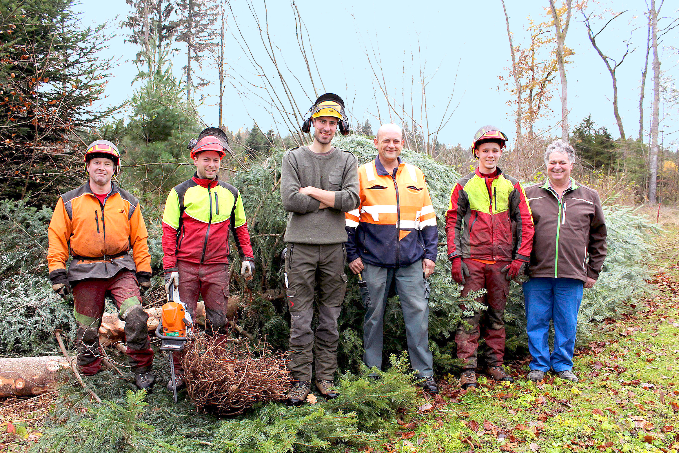 Ils font du sapin le roi de la fête