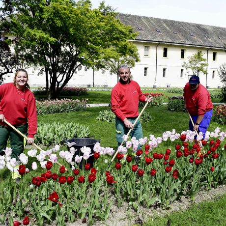 Les communes de la région font la guerre aux pesticides