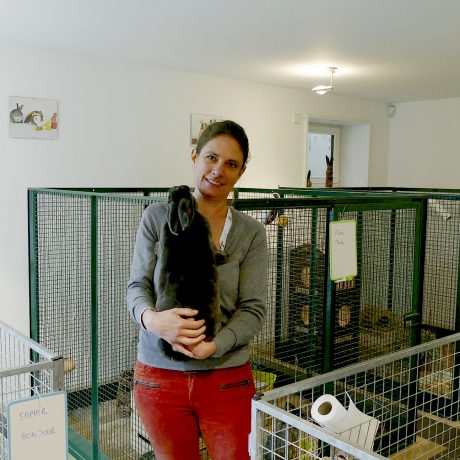Un nouveau toit pour les lapins abandonnés