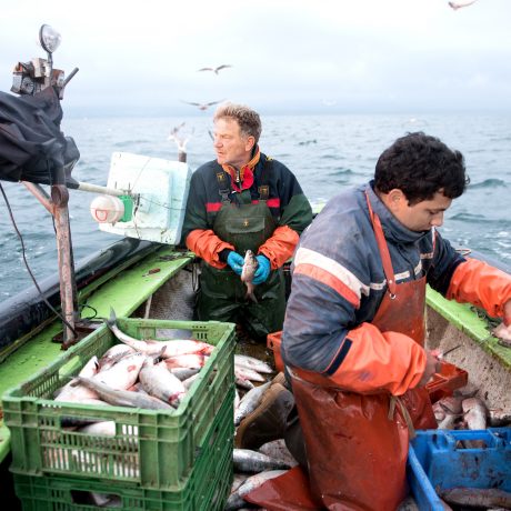 Une baisse de 19% de la pêche dans le Léman