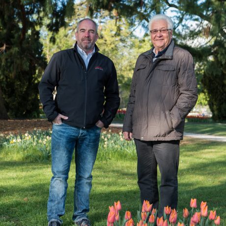 Tulipes traitées aux petits oignons
