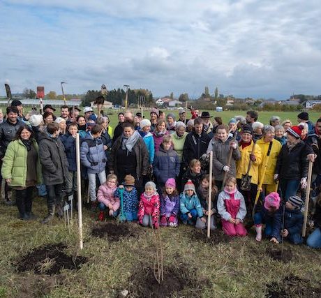 Plantation haie 125 ans
