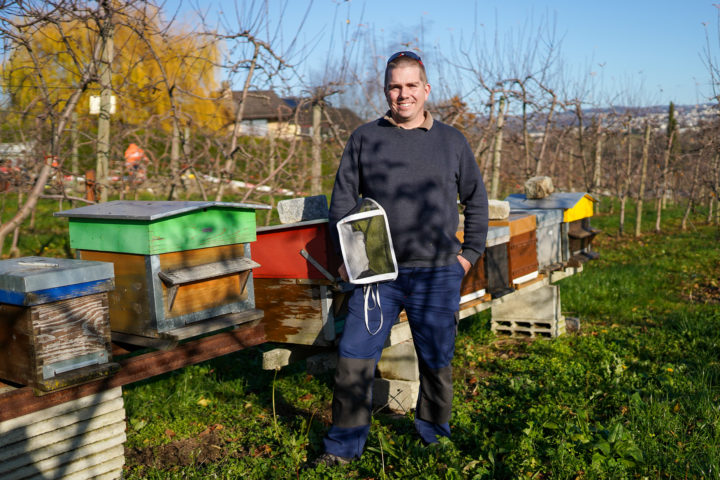 L’année a été catastrophique pour les récolteurs de miel