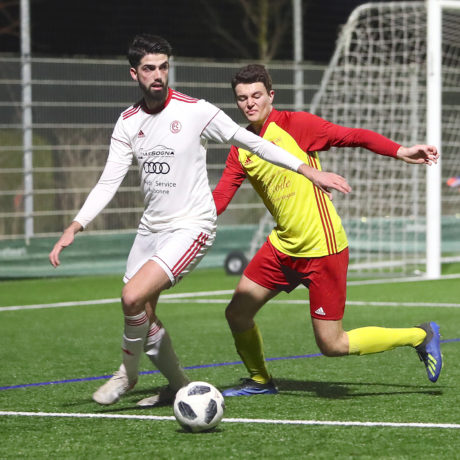 Printemps prometteur pour le Chêne