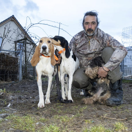 Mais qui veut la peau de ses chiens?