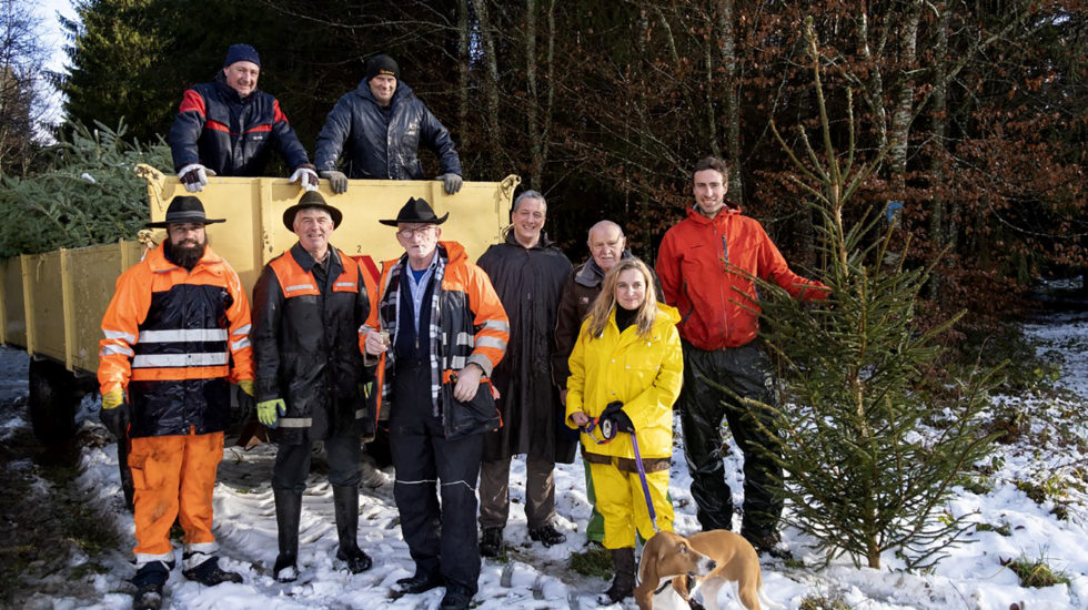 La tradition qui ne sent pas le sapin