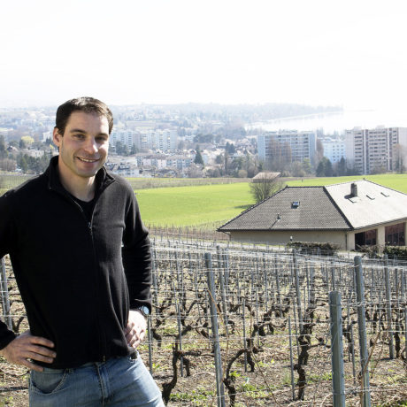 Faire du vin sans sulfites n’est pas des plus facile