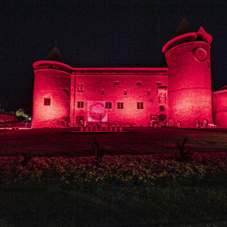 Morges met en lumière la crise du monde culturel