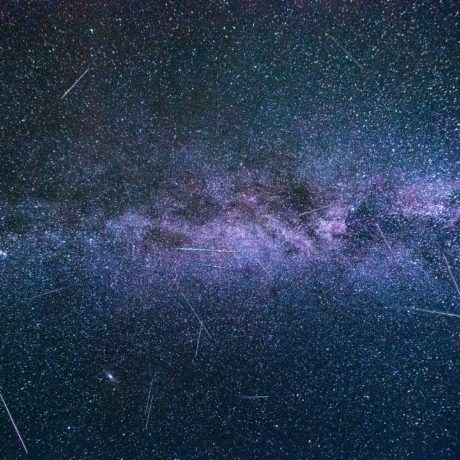 Un tapis noir déroulé aux étoiles filantes ce week-end
