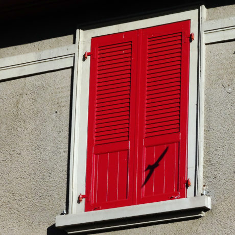 Le monde à ma porte – 31 juillet 2020
