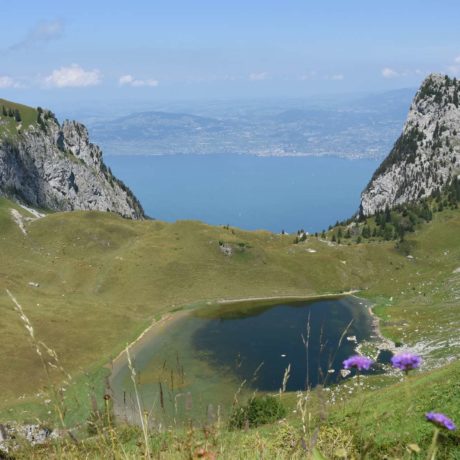 Entre Suisse et France, vue sur le Léman