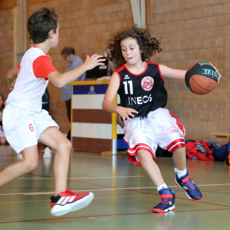 Basketteurs de petite taille, mais derby de haut vol