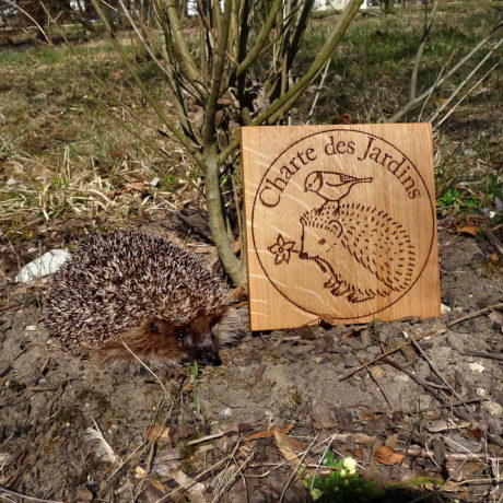 Un appel pour des jardins plus naturels
