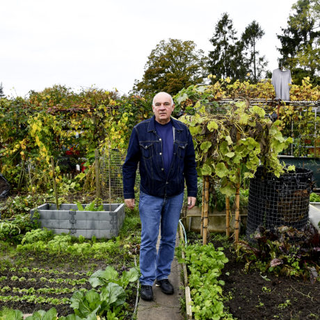 Sans doute pas de jardins familiaux à la Gracieuse