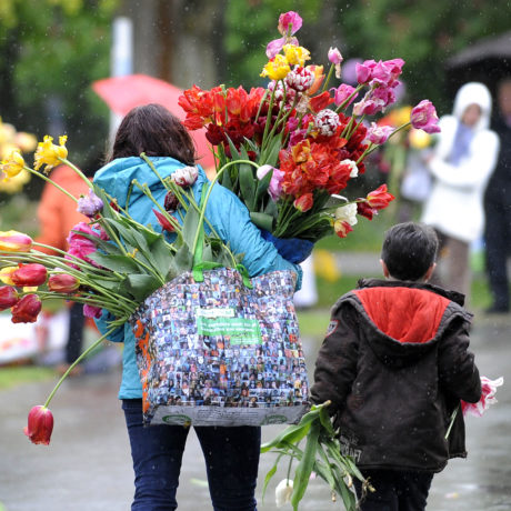 La Fête de la Tulipe aura bien lieu