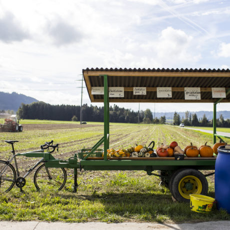 Quand l’agriculture était oubliée