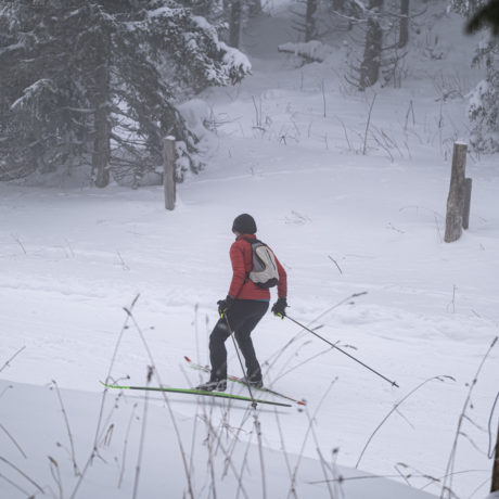 Les amateurs de ski de fond soufflent le chaud et le froid