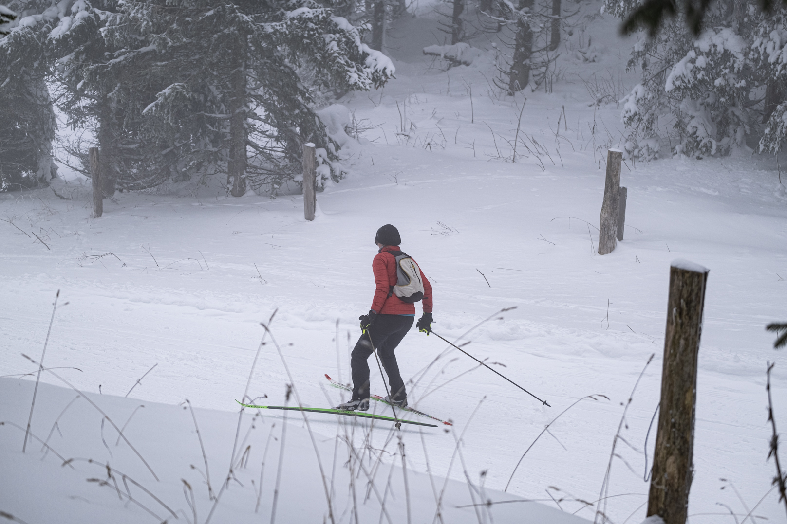 Les amateurs de ski de fond soufflent le chaud et le froid
