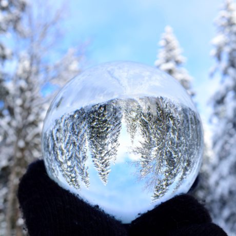 Quelques photos de neige de notre concours