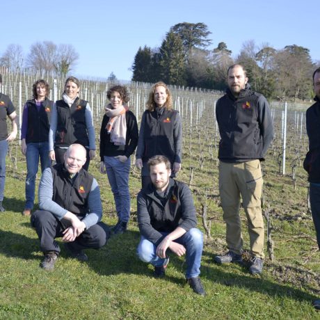 Les vins de Morges voient le verre à moitié plein