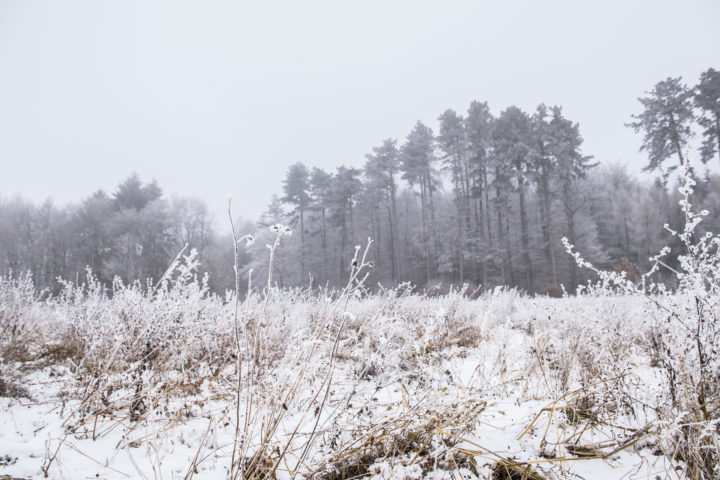 Le calendrier n’annonce pas le printemps