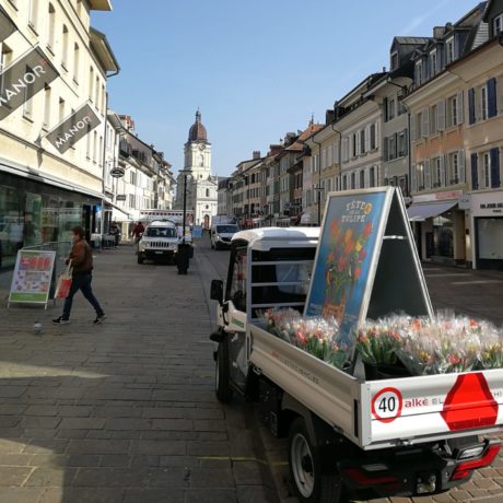 Opération séduction pour la Fête de la Tulipe
