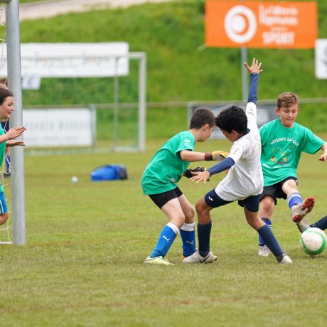 Pas de match de juniors D ce week-end