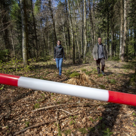 La forêt comme laboratoire du futur