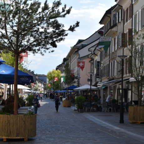 Des arbres géants ont poussé en pleine ville