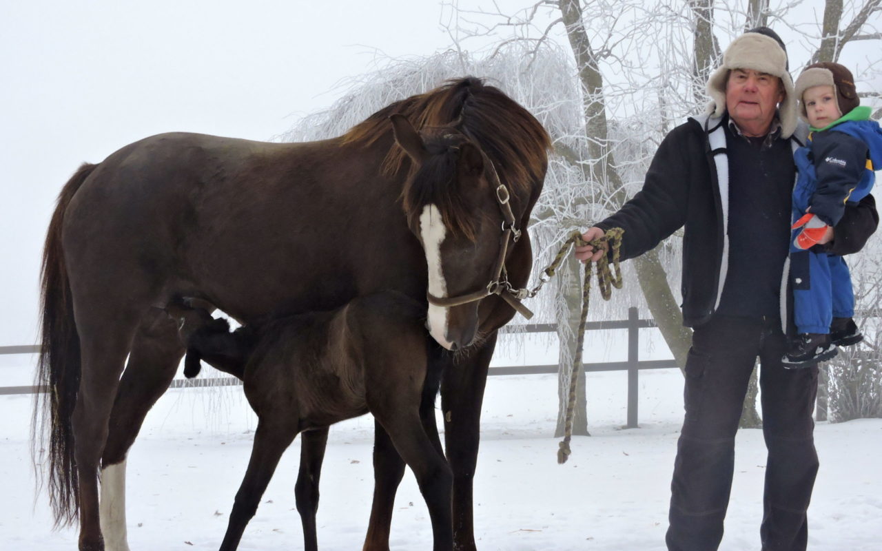 A beer thoroughbred wins in Montauban – journaldemorges