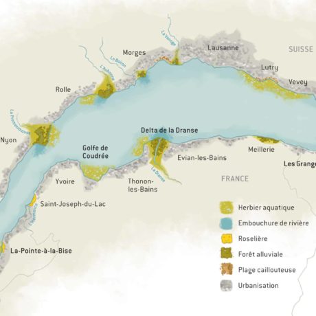 Sensibiliser aux milieux naturels