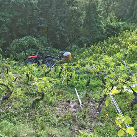 Un agriculteur décède dans un accident de travail à St-Livres