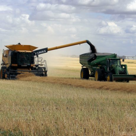 Des moissons compliquées suite aux intempéries