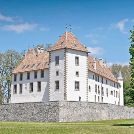 Le château d’Allaman aurait trouvé preneur