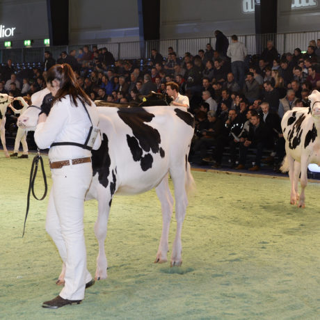 Swiss Expo n’aura pas lieu en 2022