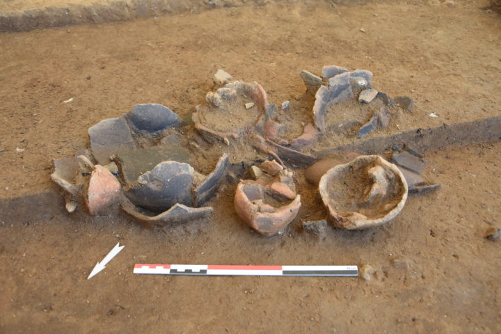 Dépôt de vases d’accompagnement partiellement dégagés dans la tombe ST31.
Image: Archeodunum SA, L. Nicod.
