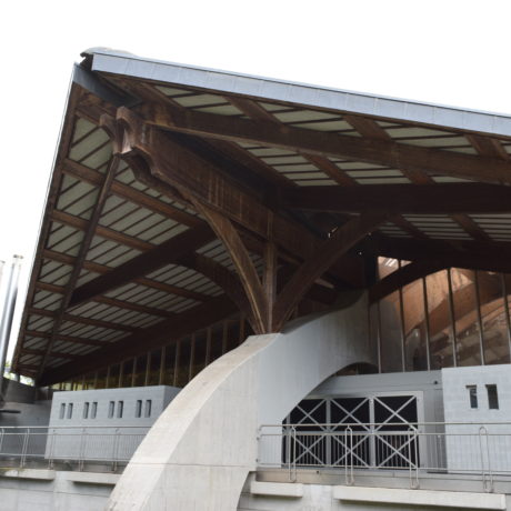 Patinoire: la solution proposée ne fait pas l’unanimité