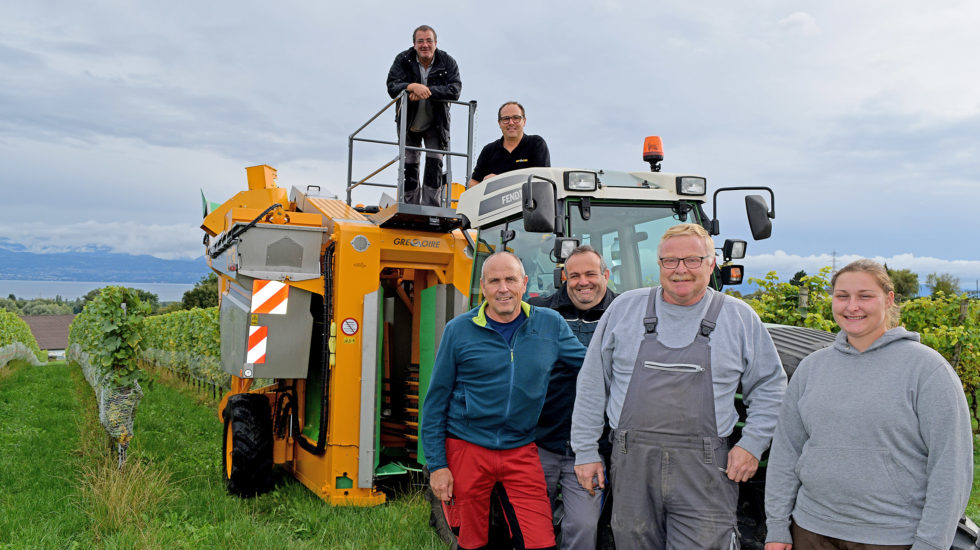 Soudés tels les grains sur une grappe